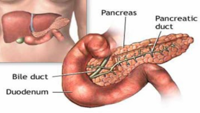 Gangguan Pankreas dalam Tubuh